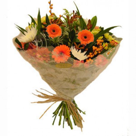 D2F Standard Product 91wrapped handtief