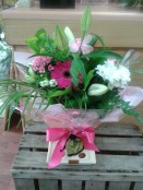 Bloom in box