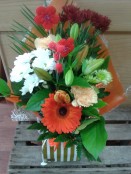 orange boxed aqua